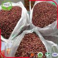 Hua Jiao Gewürze und Kräuter Sichuan Red Pepper